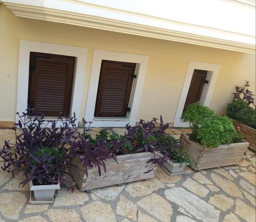 סיבוטה Villa Karolina Tsogkas מראה חיצוני תמונה